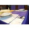 Tablecloth Odaska place setting 30x40 set 2 pcs white dots