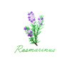 V 073 rosmarin
