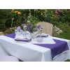 27601639 ubrus odaska 40x140 krucánky fialová R5792 krajka bílá 3