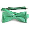 53400475 motylek 700 hedvabi PUNTIK zelena