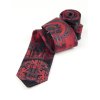 Tie polyester 8 cm PRAGUE Saint Wenceslas
