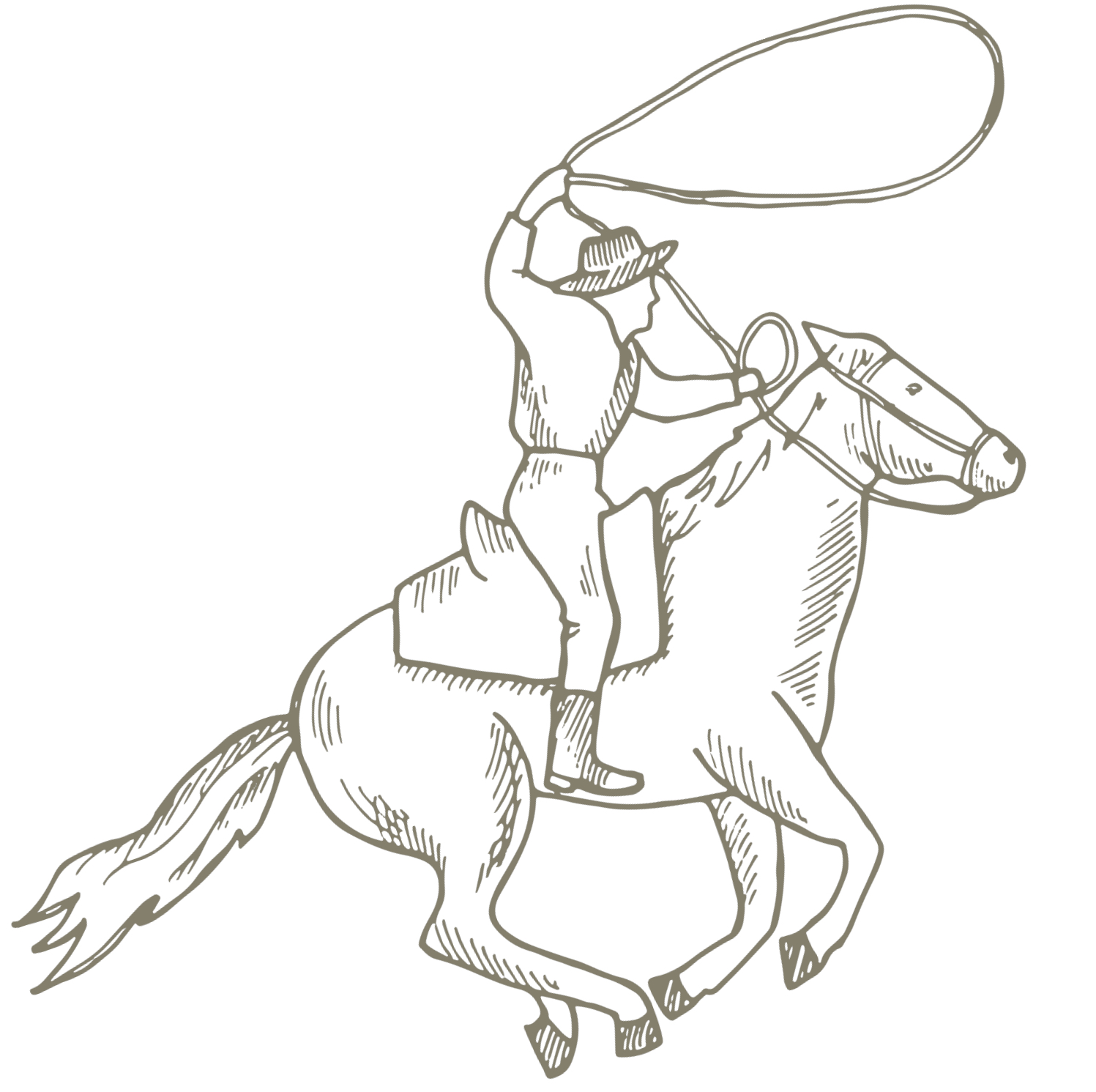 Expedici řešíme okamžitě