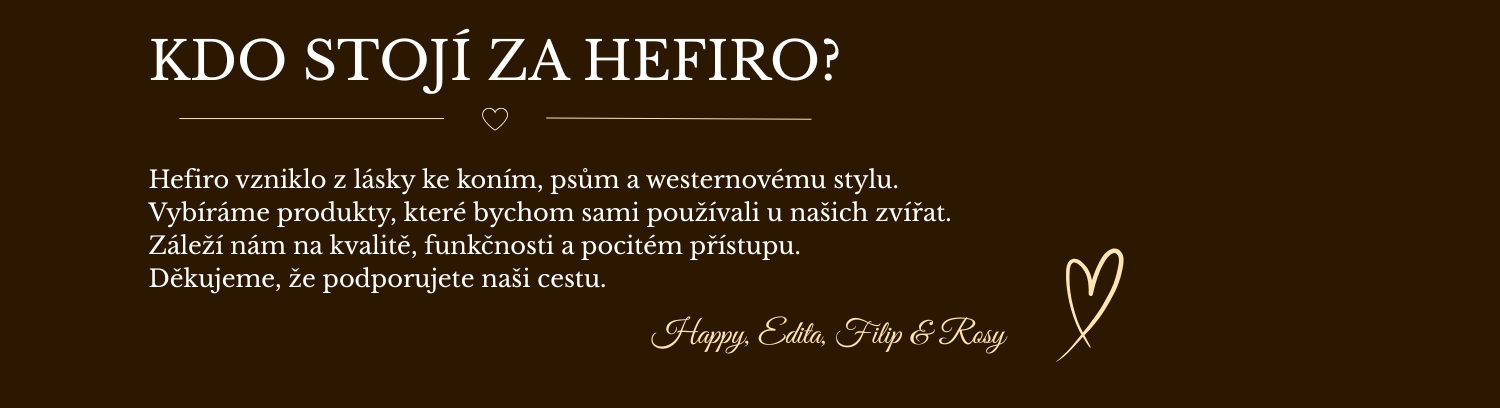Kdo stojí za HEFIRO