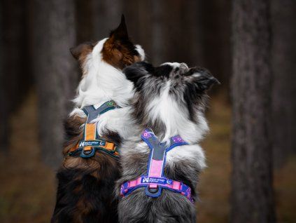 Rachel Pohl Nonstop 10m