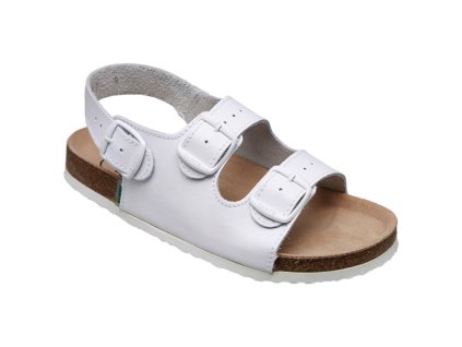 1741257549sante 1398 31