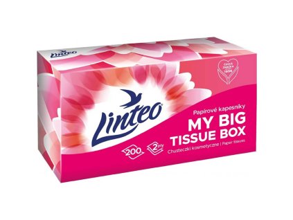 Linteo kapesníky 2-vrstvé 200 ks