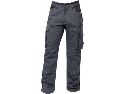 vision do pasu šedé