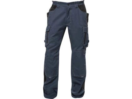 vision do pasu tm.modré