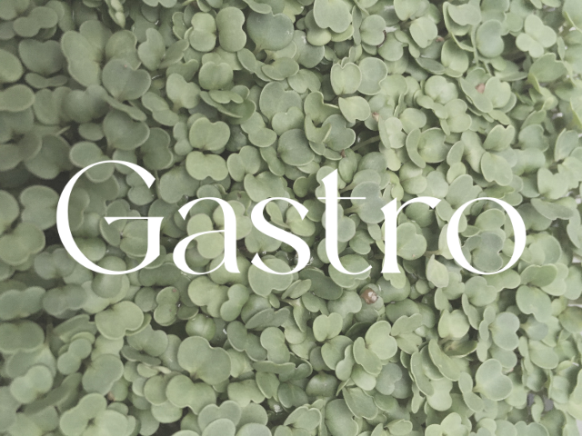 Dodáváme pro gastro-provozy čerstvé a sušené jedlé květy, bylinky a mikrozeleninu.