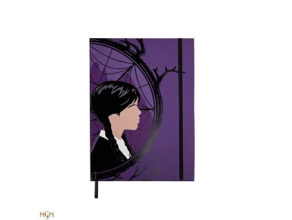 Zápisník - Wednesday a Enid