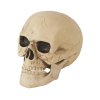Декорация - Череп 20 см