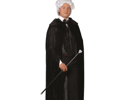 Vycházková hůl 80 cm