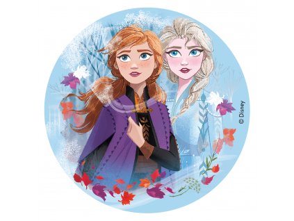 57780 2 jedly papier bez cukru anna a elsa 16 cm