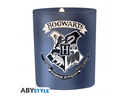 harry potter candle hogwarts2