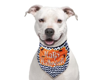 Šatka pre psov - Happy Halloween