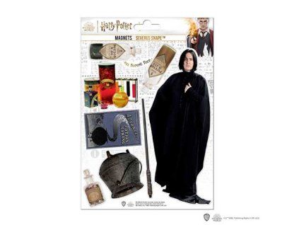 Súprava penových magnetiek Harry Potter - Severus Snape 8ks