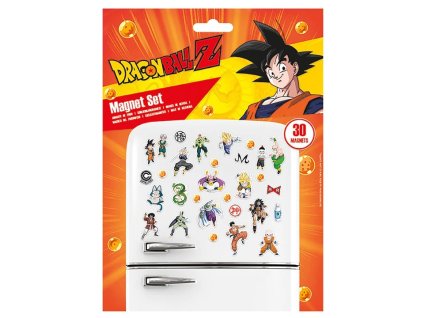 Set magnetiek - Dragonball