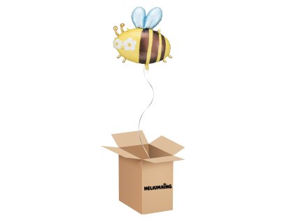 balony box (24)