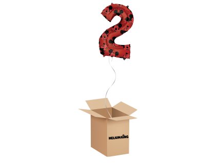 balony box 2024 06 05T083848.698