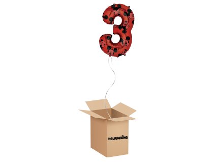 balony box 2024 06 05T084158.673