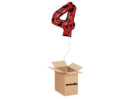 balony box 2024 06 05T084352.678