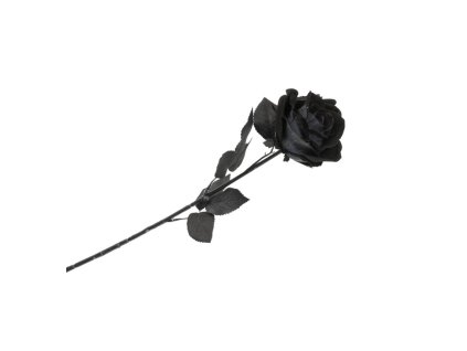 halloween black rose stem 65cm