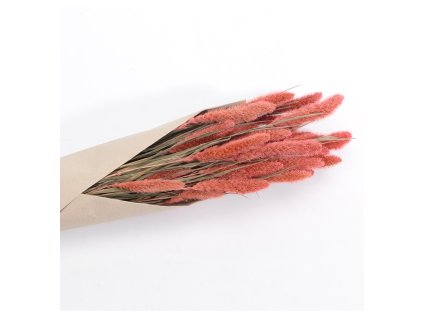 bunch of pink setaria around 74cm 100gr