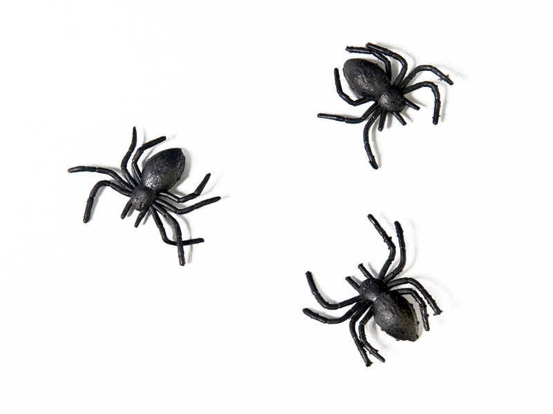 Levně PartyDeco Dekorace Pavouci - černá