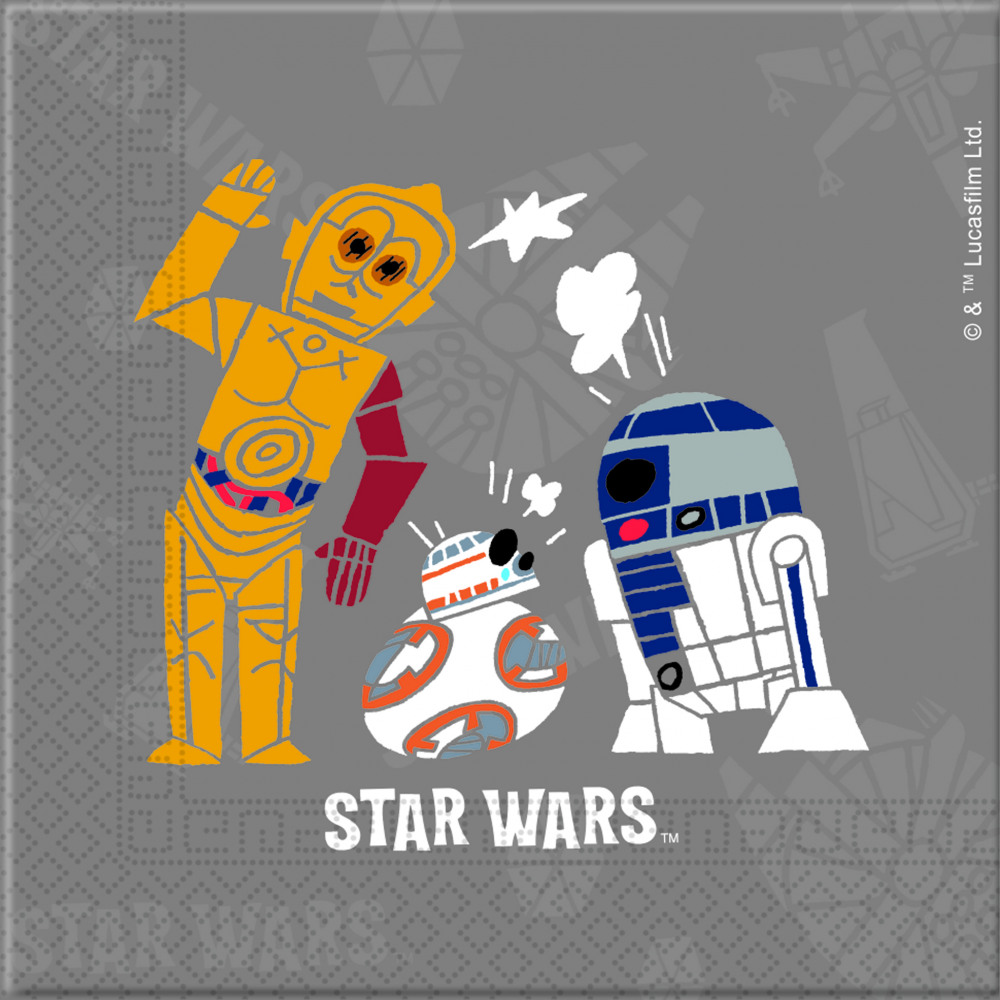Ubrousky Star Wars Forces