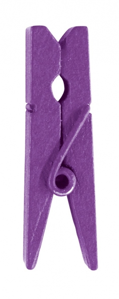 Levně Santex Dřevěné kolíčky - jednobarevné 24 ks Barva: Fialová