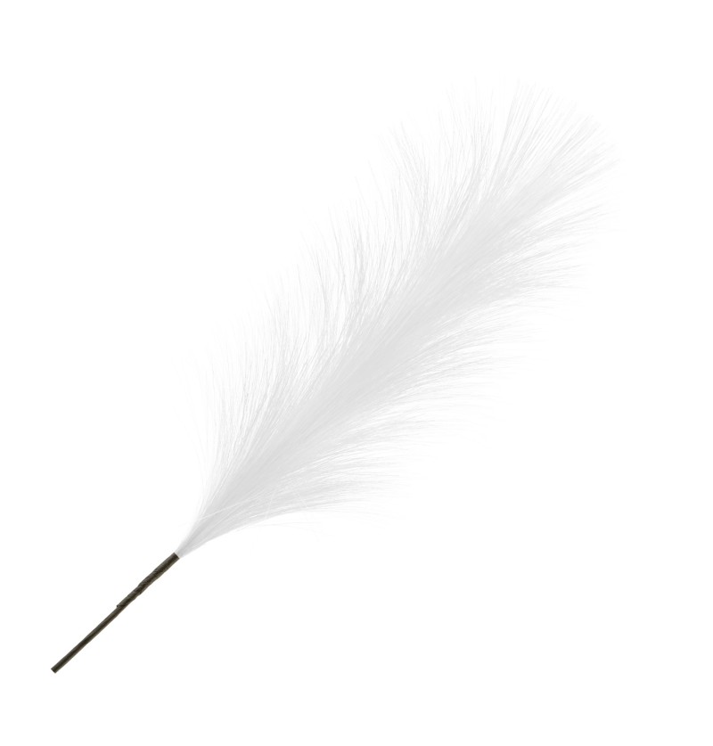Levně Chaks Umelý Pampas - Biely