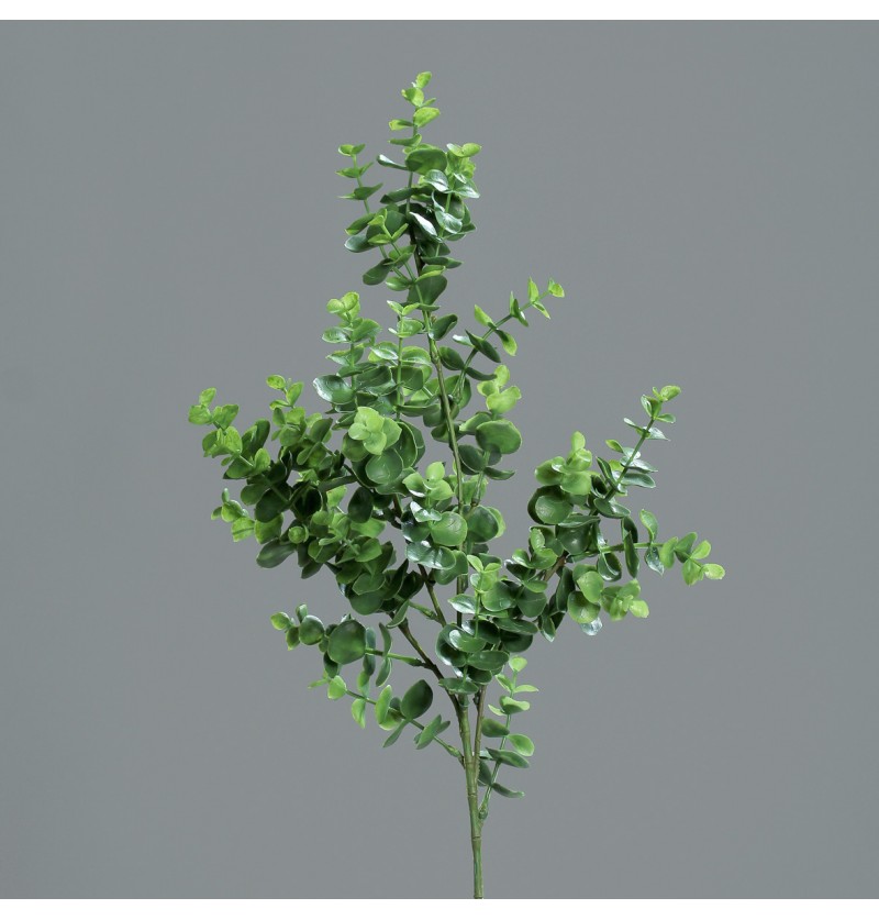 Levně Chaks Zväzok umelej rastliny - Eukalyptus 70 cm