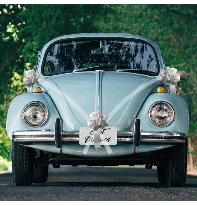 Levně Chaks Dekorácia na auto s mašľami - Silver Bow