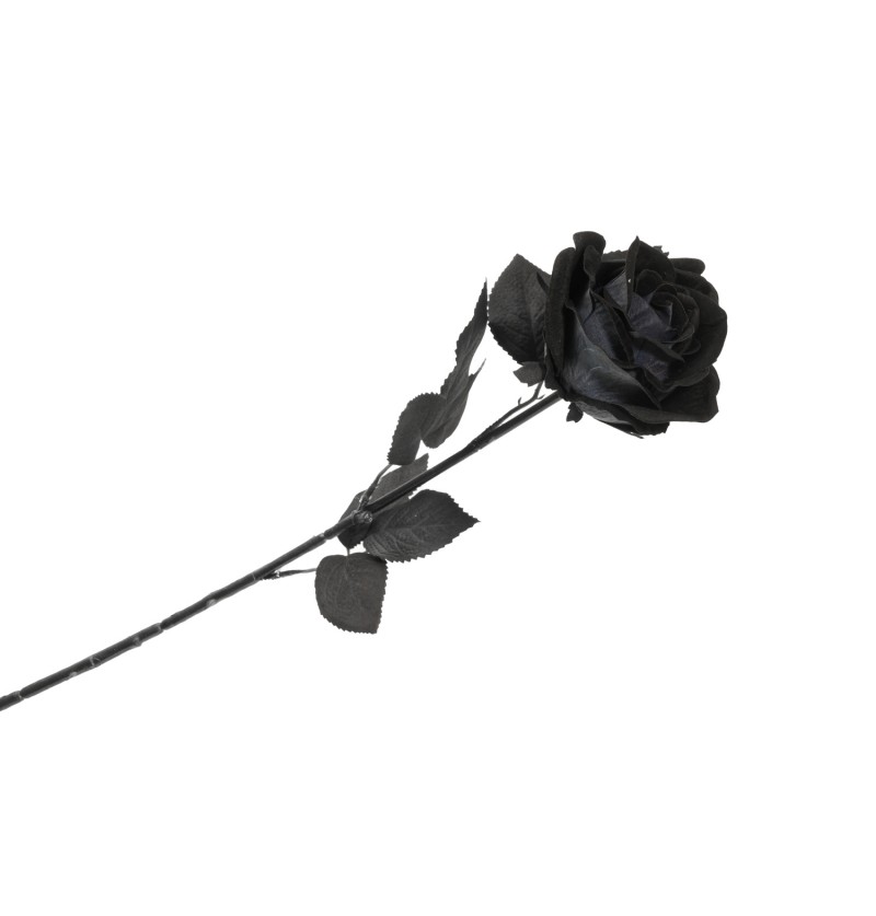 Levně Chaks Čierna ruža na stonke 65 cm
