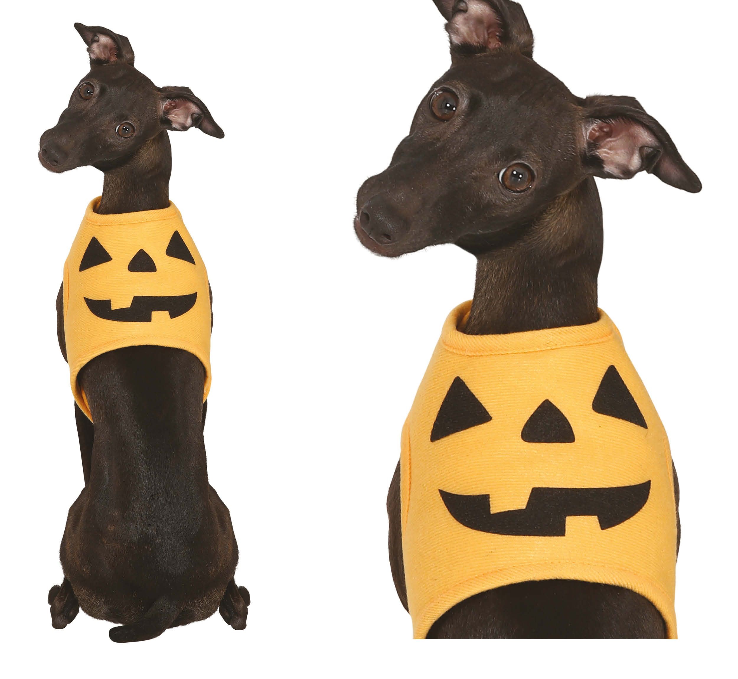 Guirca Kostým pre psa - Dýňa Kostýmy pro psy: S