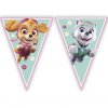 32966 1 banner paw patrol skye everest