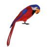 Papagáj 36 cm