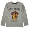 Chlapčenské tričko s dlhým rukávom - Harry Potter Chrabromil sivé
