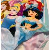 Jednodílné plavky - Princezny Disney
