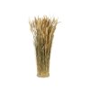 botte lagurus naturel dia 12cm x 55cm