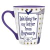 harry potter mug 250 ml letter from hogwarts cardboard pkgx2 (1)