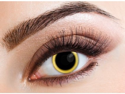 Šošovky 1-dňové Eclipse