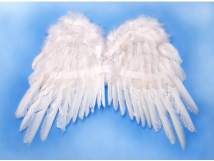 Biele Anjelské krídla