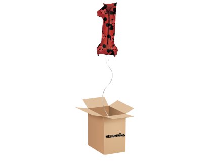 balony box 2024 06 05T081628.570