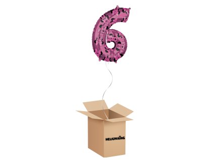 balony box 2024 06 05T090430.724