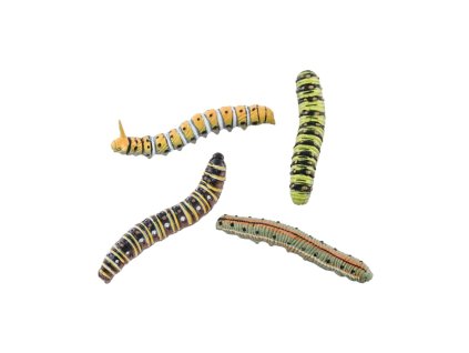 set 4 bugs assorted designs and sizes