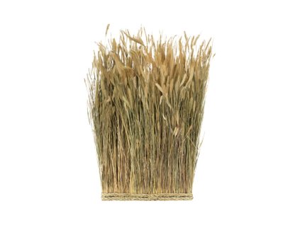 natural lagurus rectangular bunch 34cm x 8cm x 60cm