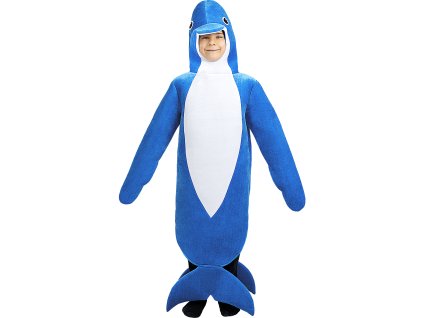 https://static1.funidelia.com/img/p/original/510256.jpg