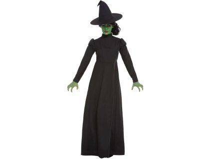 wicked witch costume black image 1