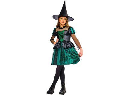 wicked witch image 1